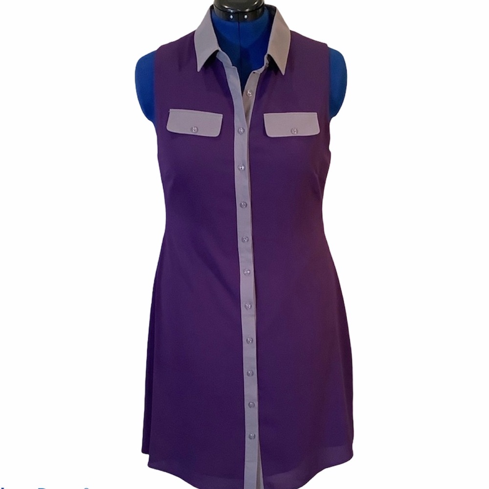 41 Hawthorn Plum/Taupe Colorblock Button-up Dress